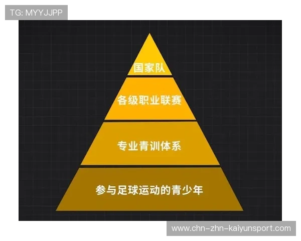 琑队如何优化青训资源配置,本队青训的规定
